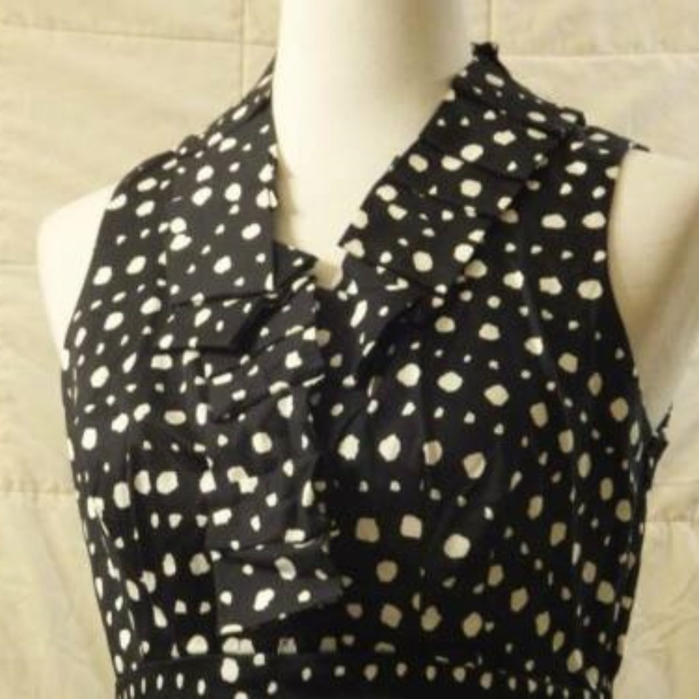 Taylor Cotton Polka Dot Sleeveless Dress NEW - Picture 3 of 3